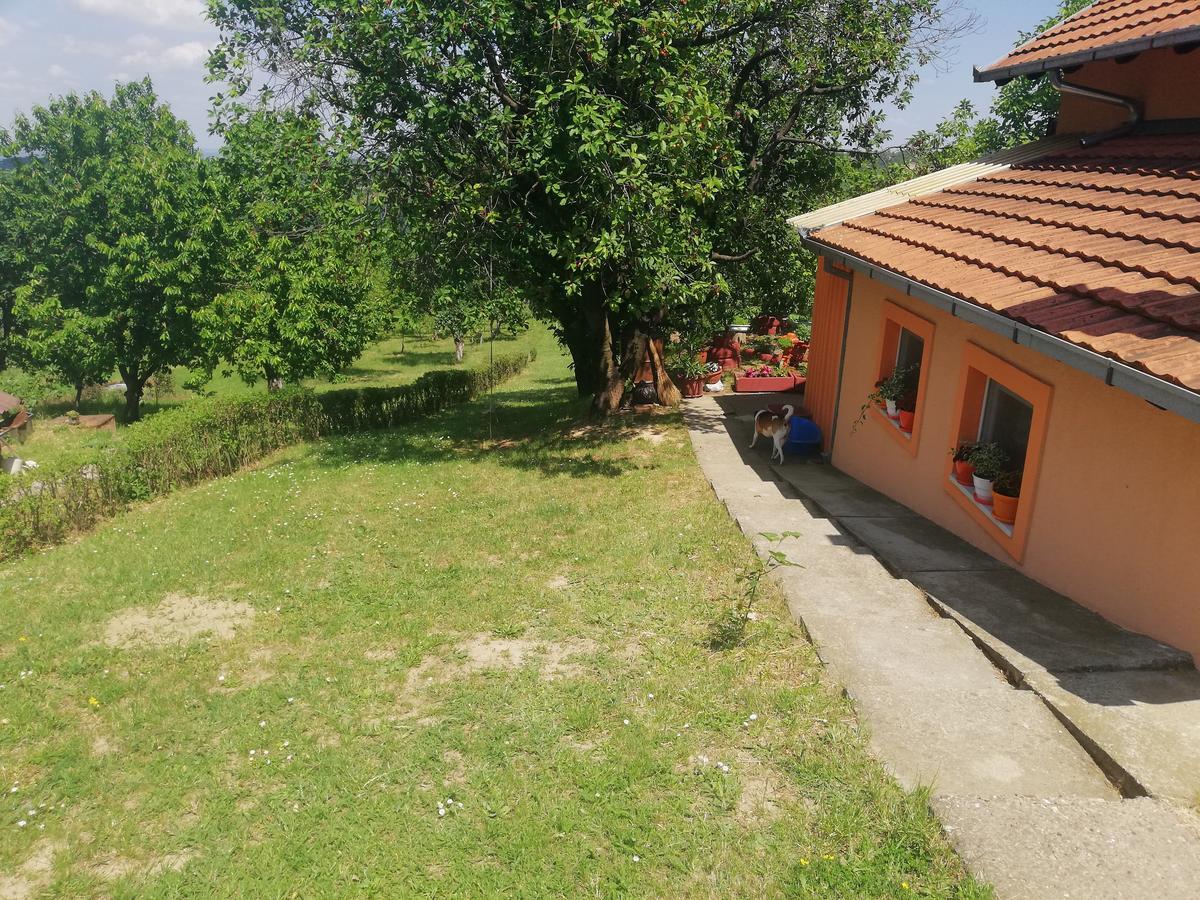 Guest House Jevtovic Sremski Karlovci Eksteriør bilde