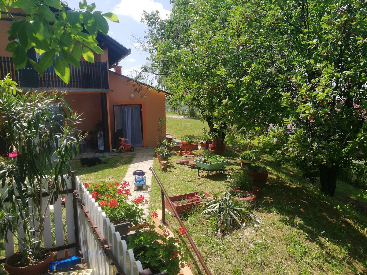 Guest House Jevtovic Sremski Karlovci Eksteriør bilde