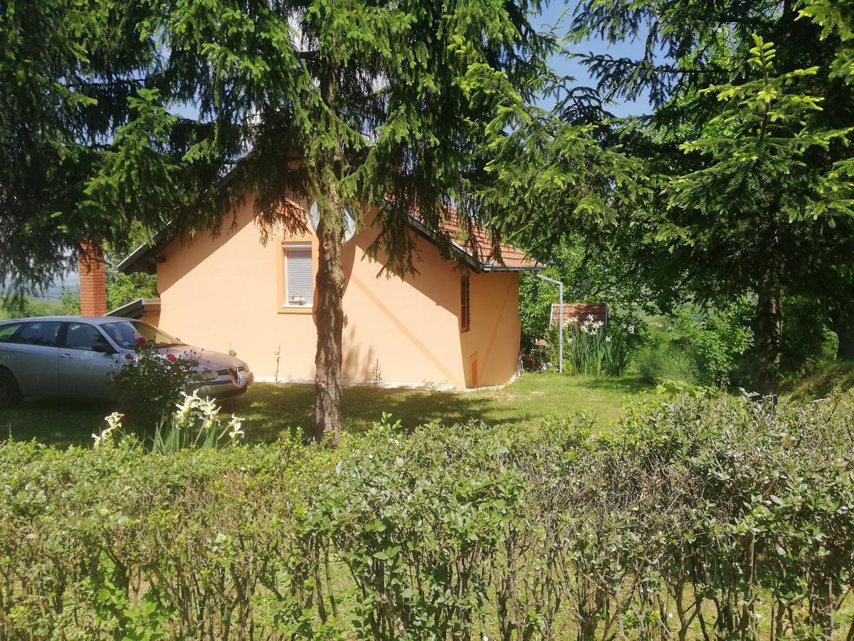Guest House Jevtovic Sremski Karlovci Eksteriør bilde