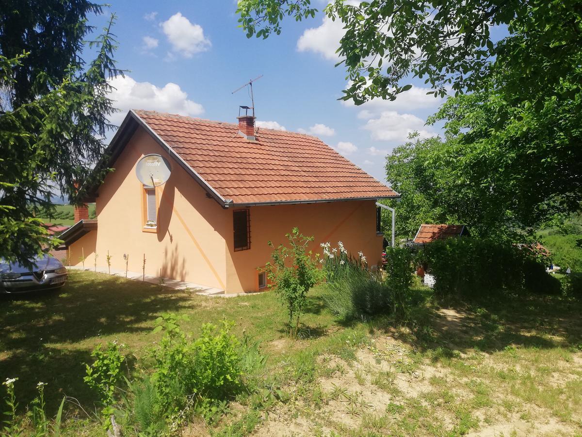 Guest House Jevtovic Sremski Karlovci Eksteriør bilde