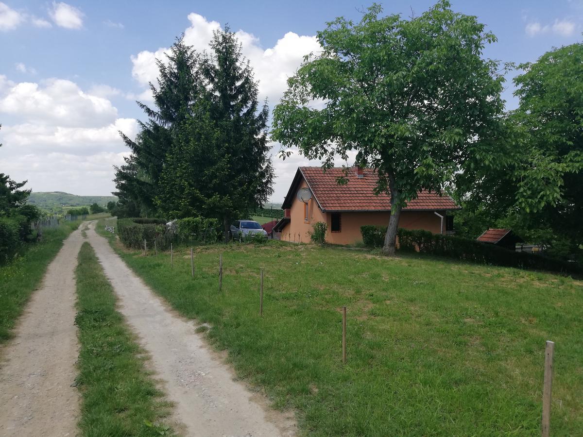 Guest House Jevtovic Sremski Karlovci Eksteriør bilde