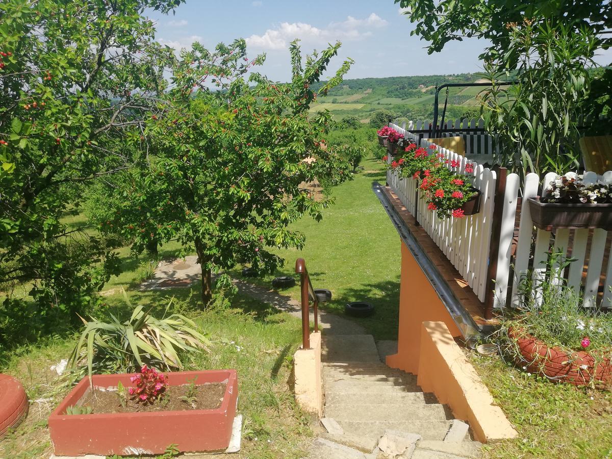 Guest House Jevtovic Sremski Karlovci Eksteriør bilde