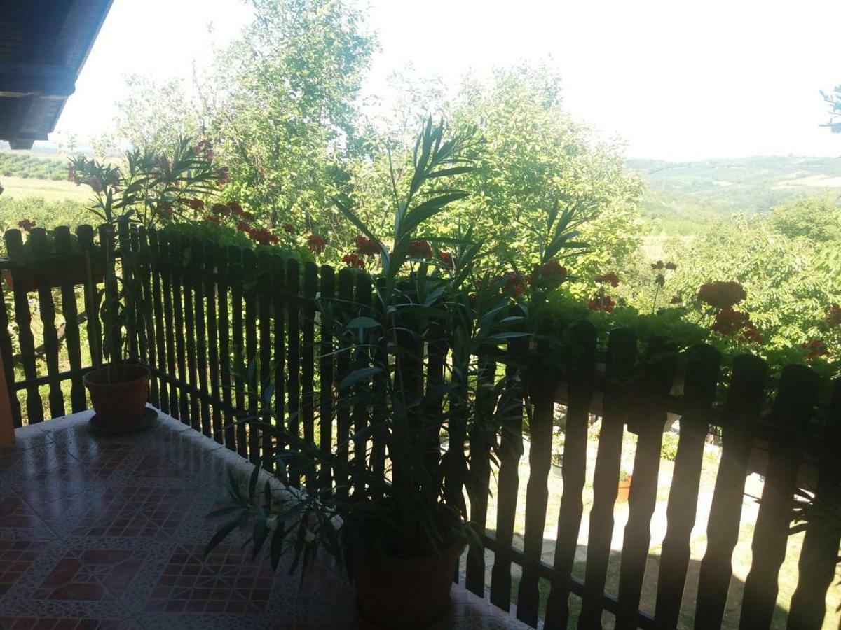 Guest House Jevtovic Sremski Karlovci Eksteriør bilde